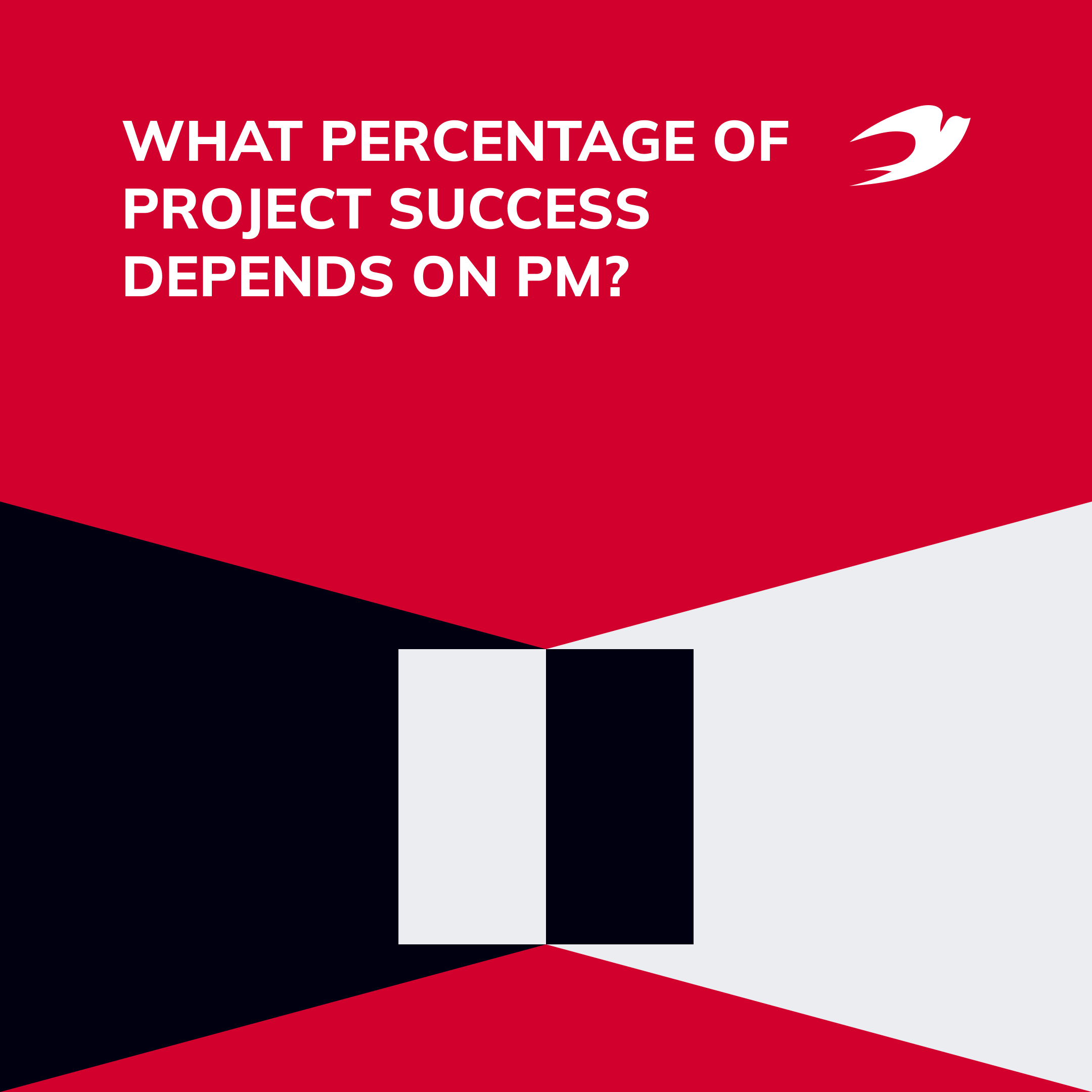 What Percentage of Project Success Depends on PM