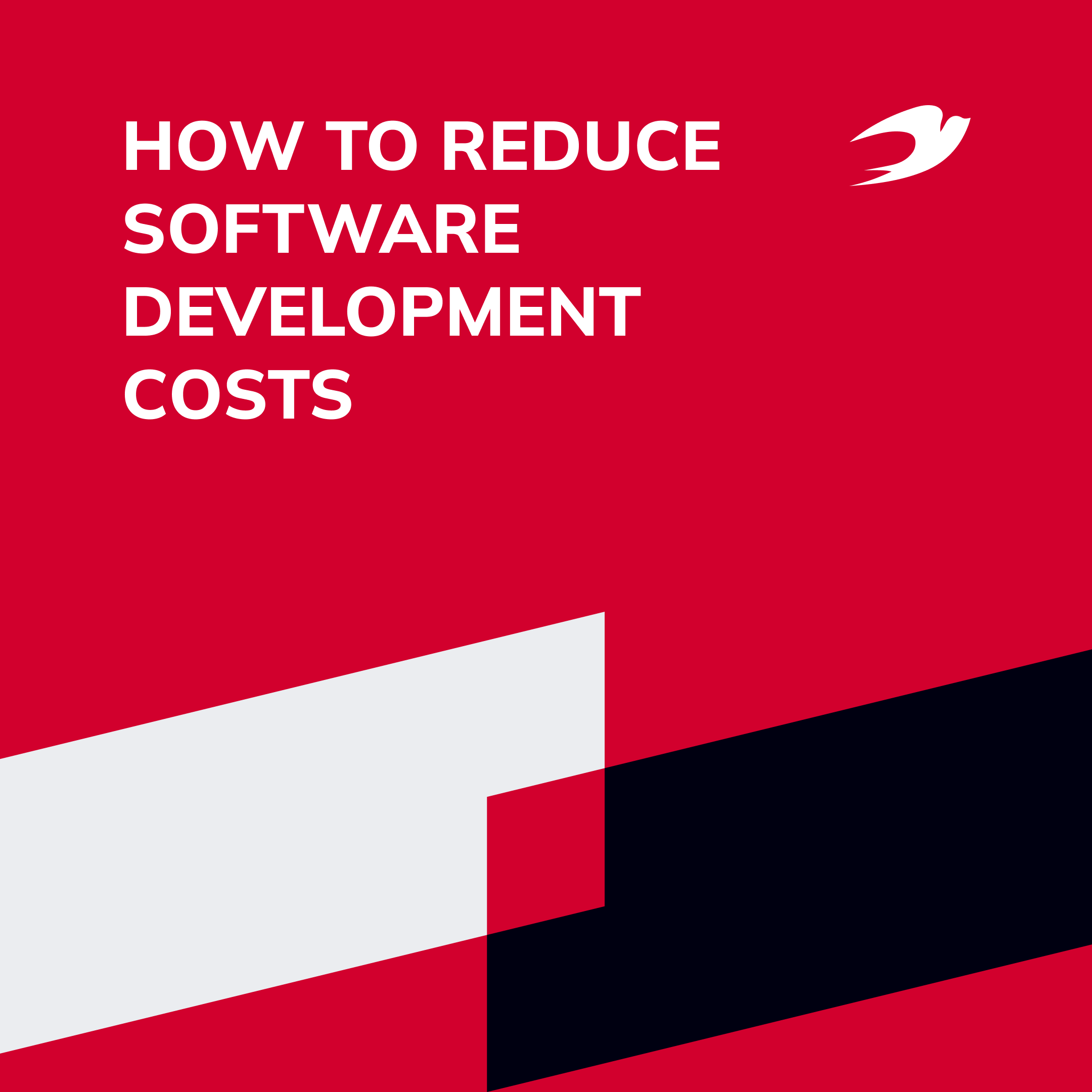 How to Reduce Software Development Сosts