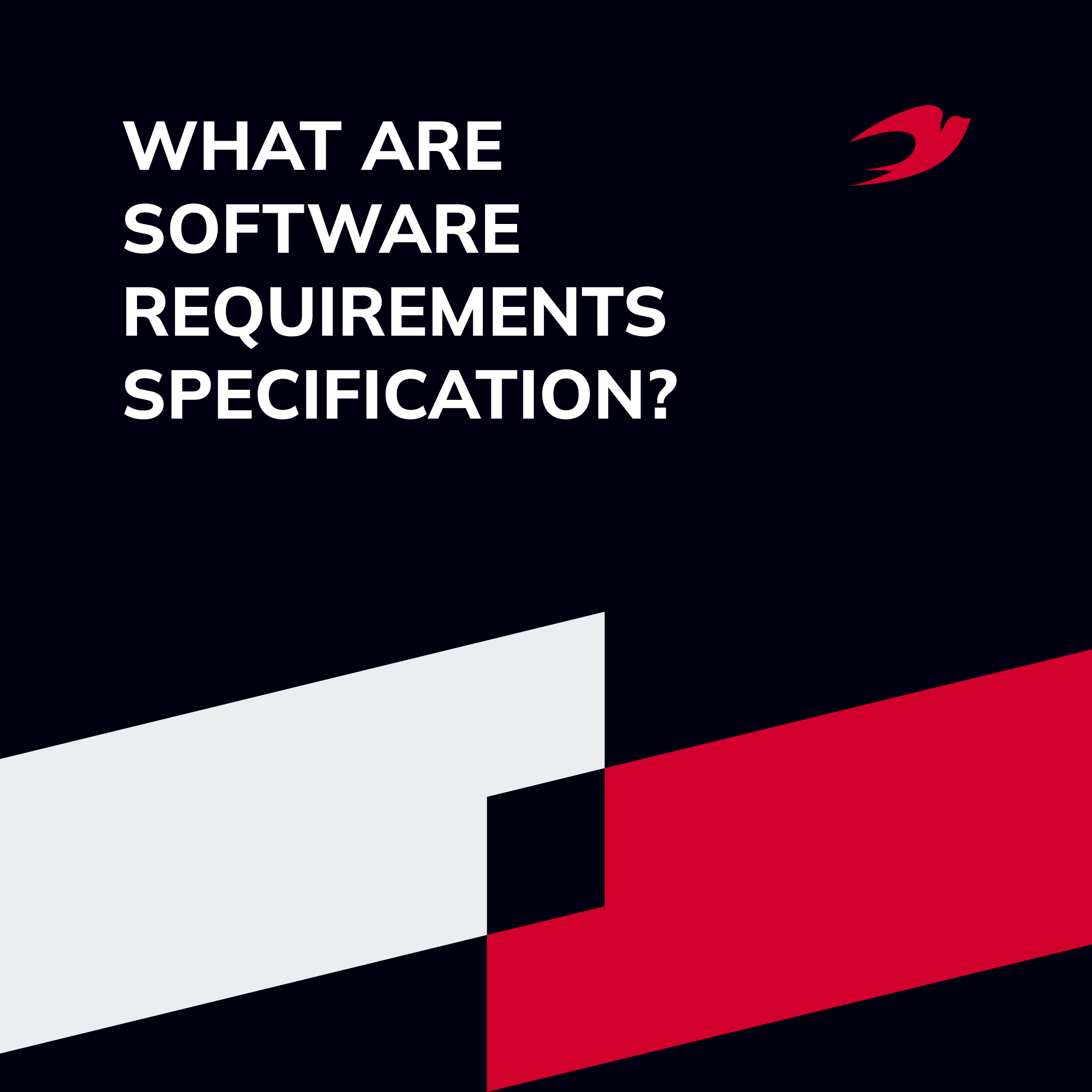 What is a Software Requirements Specification and How it Should Be Written?