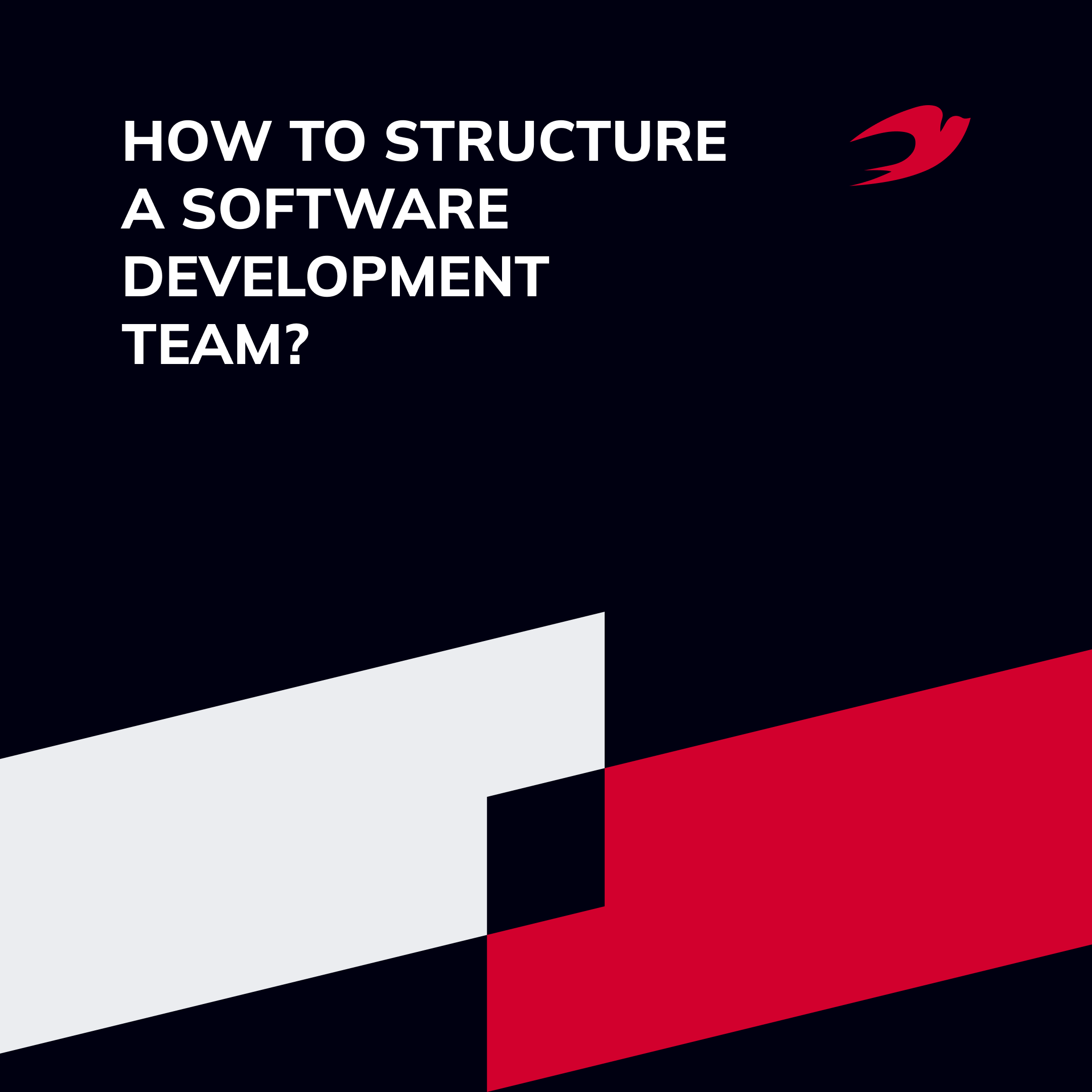 How to Structure a Software Development Team