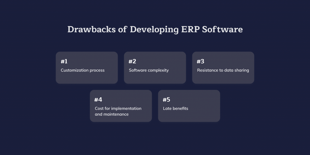 Cons of developing ERP Software Solution in 2023